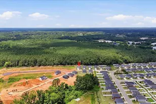 14 Swan Grv Trl, Fountain Inn, SC 29644 - Photo 34