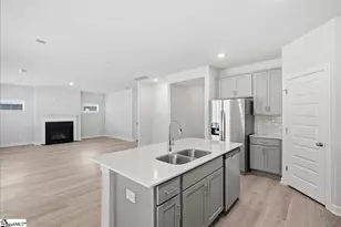 14 Swan Grv Trl, Fountain Inn, SC 29644 - Photo 14