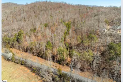 00 Burns Road, Travelers Rest, SC 29690 - Photo 6