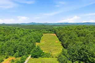 619 Little Pond Rd, Easley, SC 29640 - Photo 44