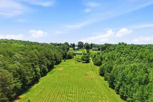 619 Little Pond Rd, Easley, SC 29640 - Photo 44