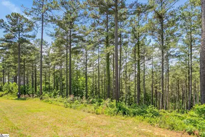 114 Highlands Ridge Road, Salem, SC 29676 - Photo 6