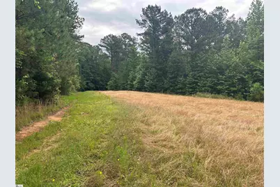 1087 Bobby Faucette Road, Jonesville, SC 29353 - Photo 12