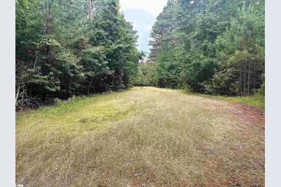 1087 Bobby Faucette Road, Jonesville, SC 29353 - Photo 8