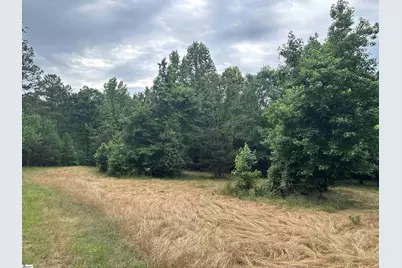 1087 Bobby Faucette Road, Jonesville, SC 29353 - Photo 24