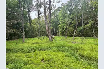 1087 Bobby Faucette Road, Jonesville, SC 29353 - Photo 38