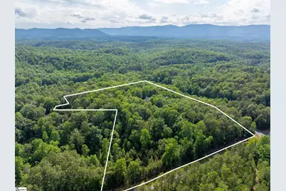 175 Green Hills Road, Mill Spring, NC 28756 - Photo 48