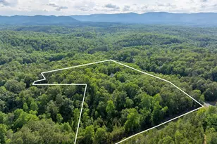 175 Green Hills Rd, Mill Spring, NC 28756 - Photo 48