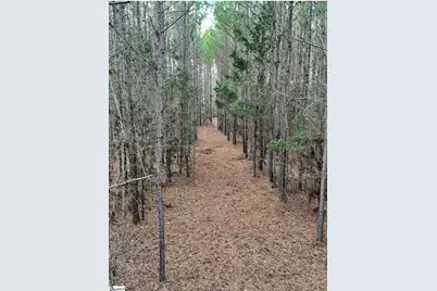 0 Simpson Mill Road, Laurens, SC 29360 - Photo 20