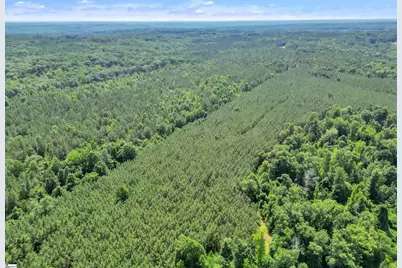 0 Simpson Mill Road, Laurens, SC 29360 - Photo 10