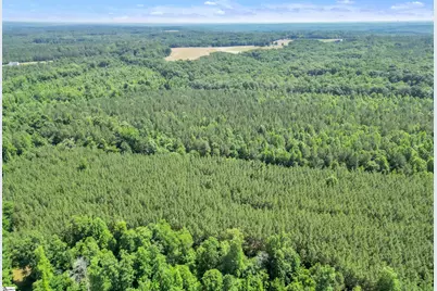 0 Simpson Mill Road, Laurens, SC 29360 - Photo 14