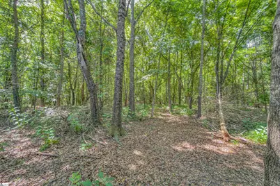 43 Tippecanoe Street, Simpsonville, SC 29680 - Photo 32