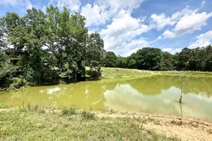 289 Deep Water Rd, Union, SC 29379 - Photo 50