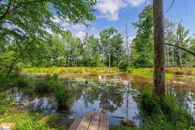442 Sea Breeze Way, Lyman, SC 29365 - Photo 38