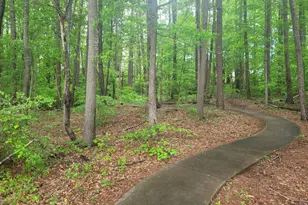 402 Lookover Dr, Anderson, SC 29621 - Photo 20