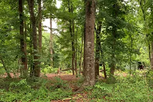 206 Mill Estate Rd, Taylors, SC 29687 - Photo 22