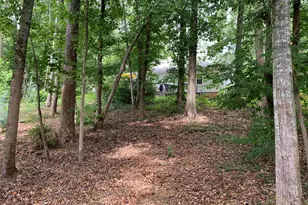 206 Mill Estate Rd, Taylors, SC 29687 - Photo 32
