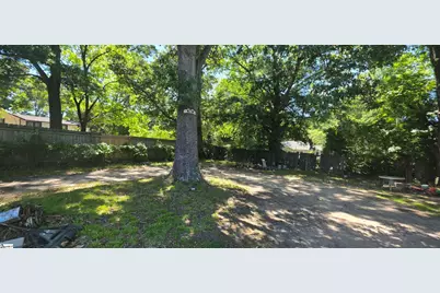 117 Alice Street, Greenville, SC 29611 - Photo 16
