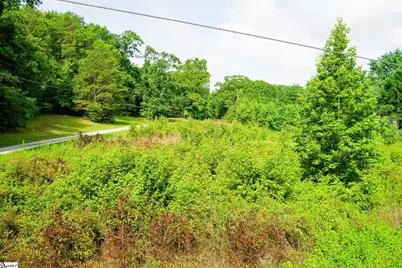 00 Hellams Road, Gray Court, SC 29645 - Photo 6