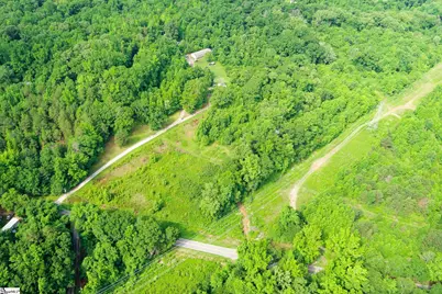 00 Hellams Road, Gray Court, SC 29645 - Photo 2