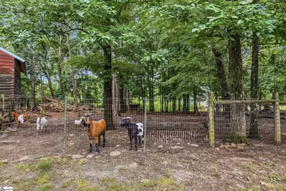 868 Bulls Road, Taylors, SC 29687 - Photo 30