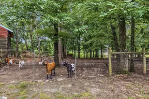 868 Bulls Rd, Taylors, SC 29687 - Photo 30