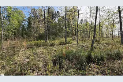 2125 Hwy 247, Belton, SC 29627 - Photo 14