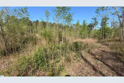 2125 Hwy 247, Belton, SC 29627 - Photo 10