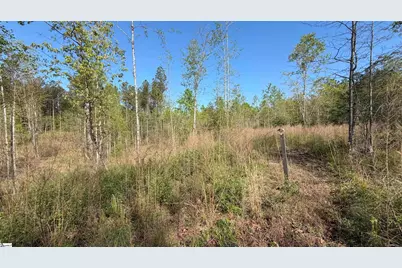 2125 Hwy 247, Belton, SC 29627 - Photo 12