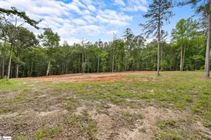 162 Cleveland Rd, Honea Path, SC 29654 - Photo 46