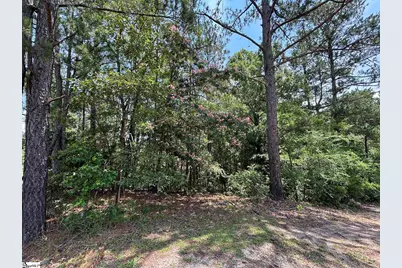 00 Serene Drive, Waterloo, SC 29384 - Photo 4