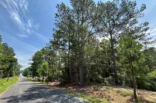 00 Serene Dr, Waterloo, SC 29384 - Photo 1