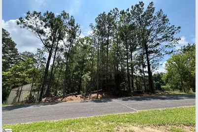 00 Serene Drive, Waterloo, SC 29384 - Photo 2