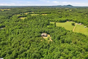 145 Night Sky Dr, Pickens, SC 29671 - Photo 42