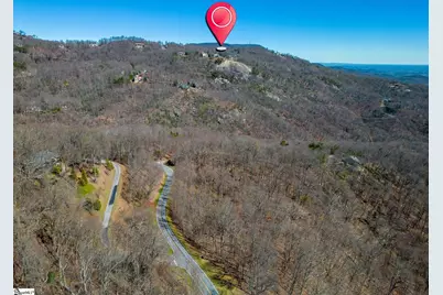 68 May Apple Way, Landrum, SC 29356 - Photo 6