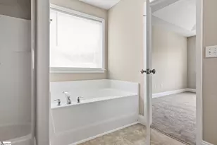 101 Tigris Way, Greenville, SC 29607 - Photo 20