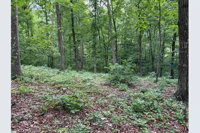 9 Nautica Point, Six Mile, SC 29682 - Photo 12