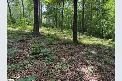 9 Nautica Point, Six Mile, SC 29682 - Photo 8