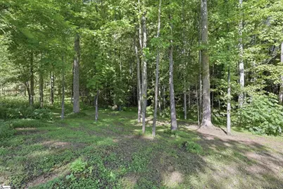 455 Hindman Road, Travelers Rest, SC 29690 - Photo 42