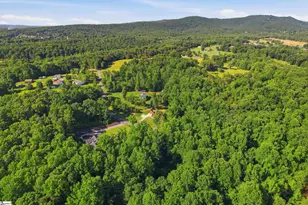 455 Hindman Rd, Travelers Rest, SC 29690 - Photo 48