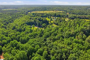455 Hindman Rd, Travelers Rest, SC 29690 - Photo 48