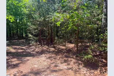 9816 Neely Ferry Road, Waterloo, SC 29384 - Photo 6