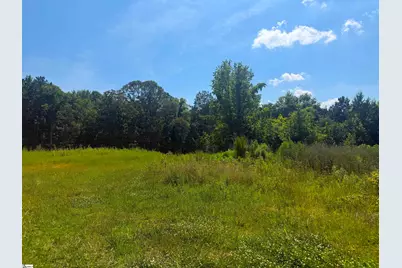 9816 Neely Ferry Road, Waterloo, SC 29384 - Photo 4