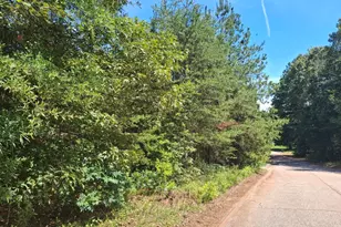 302 Walnut Dr, Pickens, SC 29671 - Photo 1