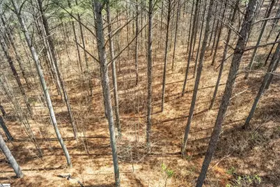 0 High Hampton Road #Lot 37 Highland Shores at Keowee, Salem, SC 29676 - Photo 24