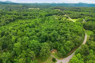 100 Crystal Ln, Pickens, SC 29671 - Photo 46