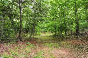 100 Crystal Ln, Pickens, SC 29671 - Photo 36