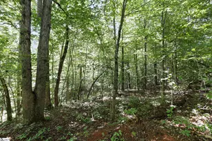 196 Raines Rd, Easley, SC 29640 - Photo 18