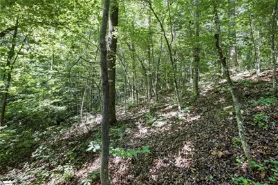 196 Raines Road, Easley, SC 29640 - Photo 36
