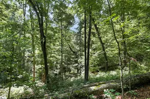196 Raines Rd, Easley, SC 29640 - Photo 40